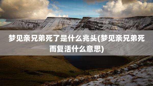 梦见亲兄弟死了是什么兆头(梦见亲兄弟死而复活什么意思)