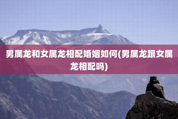男属龙和女属龙相配婚姻如何(男属龙跟女属龙相配吗)