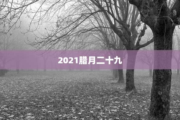 2021腊月二十九