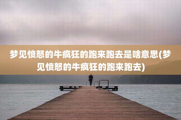梦见愤怒的牛疯狂的跑来跑去是啥意思(梦见愤怒的牛疯狂的跑来跑去)