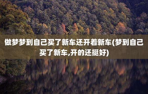 做梦梦到自己买了新车还开着新车(梦到自己买了新车,开的还挺好)