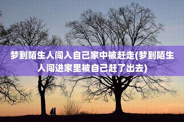 梦到陌生人闯入自己家中被赶走(梦到陌生人闯进家里被自己赶了出去)