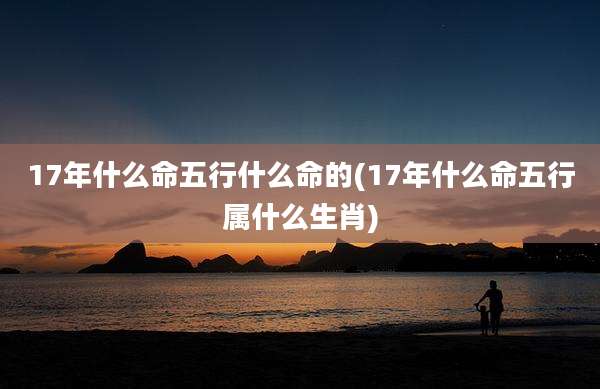 17年什么命五行什么命的(17年什么命五行属什么生肖)