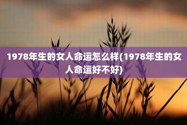 1978年生的女人命运怎么样(1978年生的女人命运好不好)