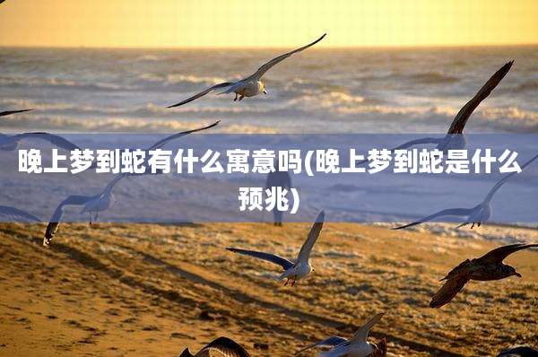 晚上梦到蛇有什么寓意吗(晚上梦到蛇是什么预兆)