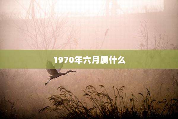 1970年六月属什么