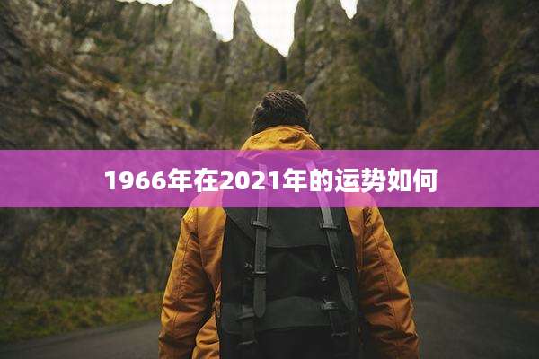 1966年在2021年的运势如何