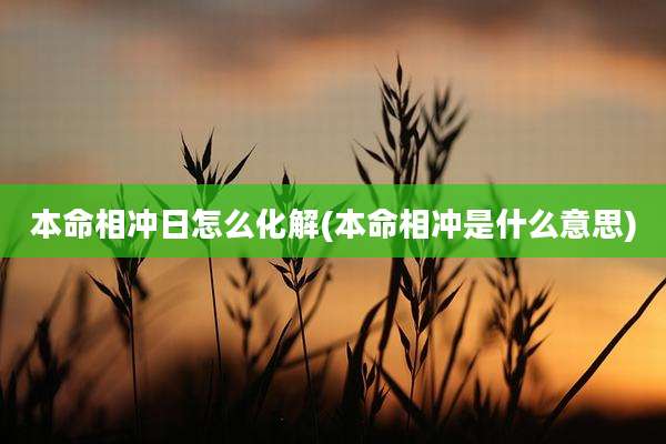 本命相冲日怎么化解(本命相冲是什么意思)
