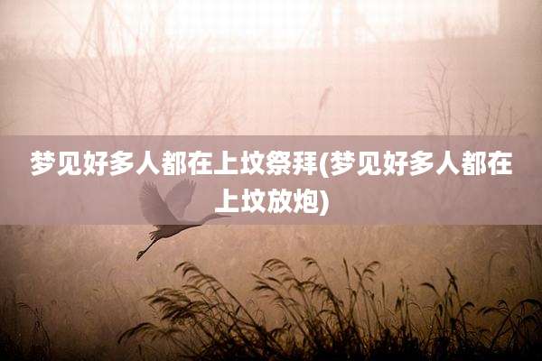 梦见好多人都在上坟祭拜(梦见好多人都在上坟放炮)