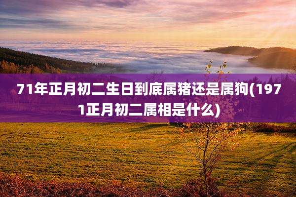 71年正月初二生日到底属猪还是属狗(1971正月初二属相是什么)