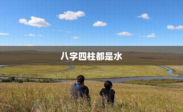 八字四柱都是水