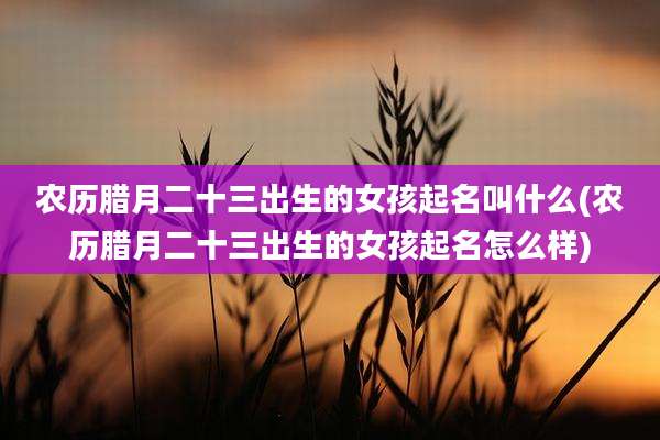 农历腊月二十三出生的女孩起名叫什么(农历腊月二十三出生的女孩起名怎么样)