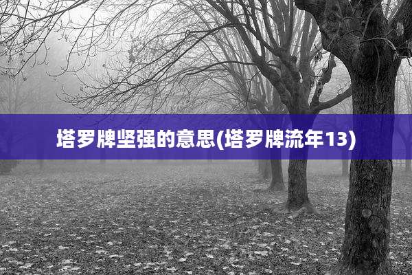 塔罗牌坚强的意思(塔罗牌流年13)