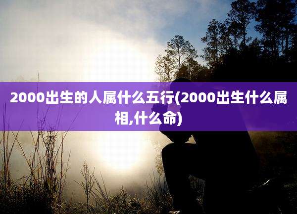 2000出生的人属什么五行(2000出生什么属相,什么命)