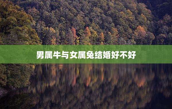 男属牛与女属兔结婚好不好