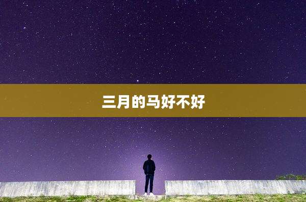 三月的马好不好