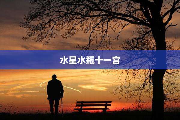 水星水瓶十一宫