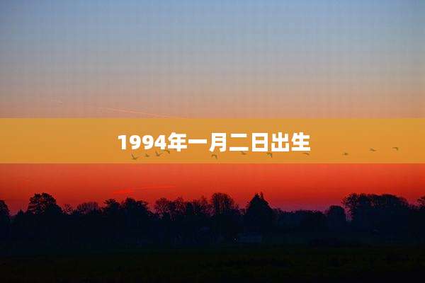 1994年一月二日出生