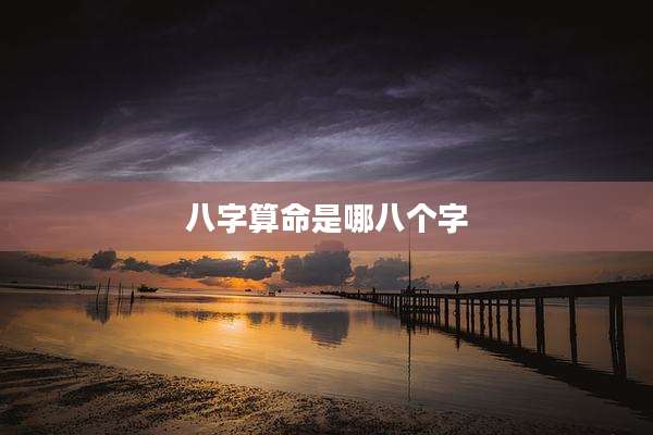 八字算命是哪八个字