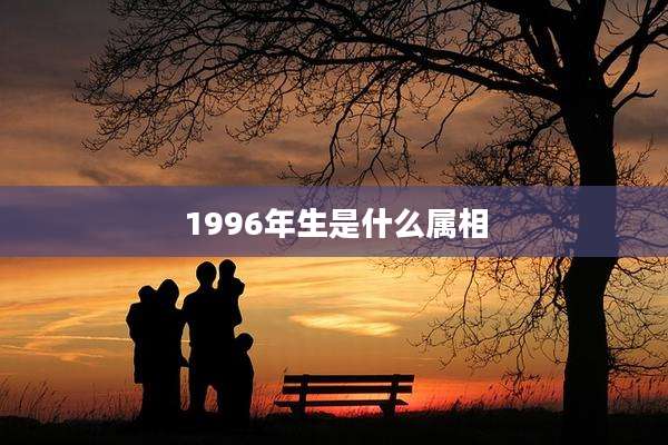 1996年生是什么属相