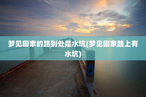 梦见回家的路到处是水坑(梦见回家路上有水坑)