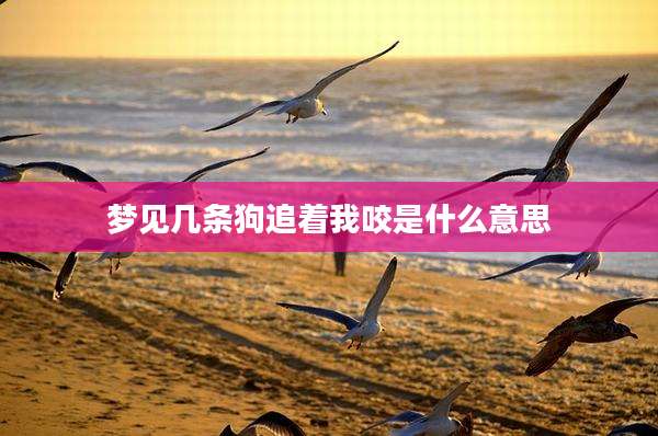 梦见几条狗追着我咬是什么意思