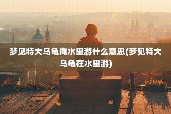 梦见特大乌龟向水里游什么意思(梦见特大乌龟在水里游)