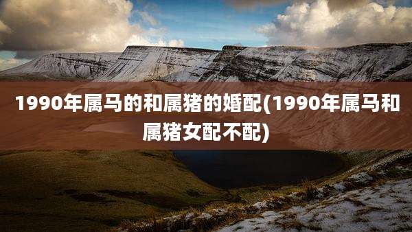 1990年属马的和属猪的婚配(1990年属马和属猪女配不配)