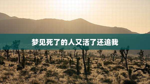 梦见死了的人又活了还追我