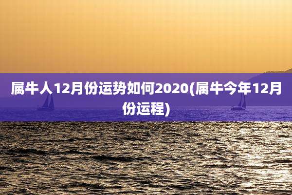 属牛人12月份运势如何2020(属牛今年12月份运程)