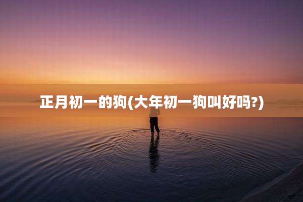正月初一的狗(大年初一狗叫好吗?)