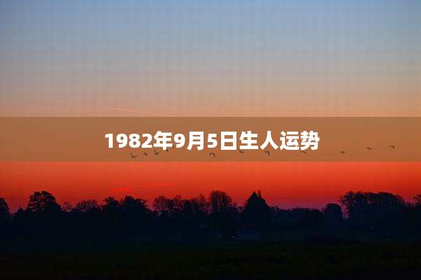 1982年9月5日生人运势