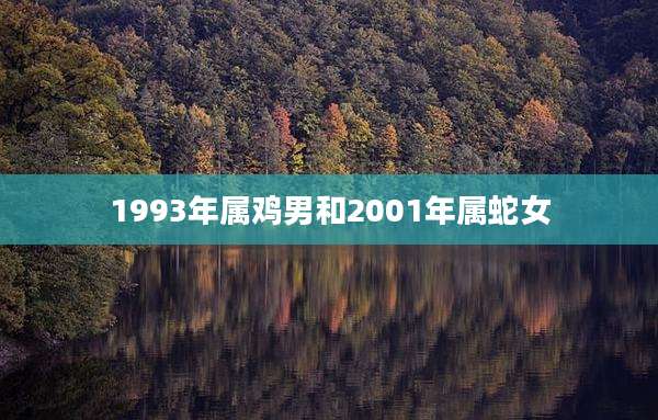 1993年属鸡男和2001年属蛇女