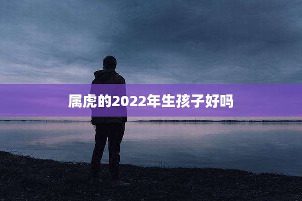 属虎的2022年生孩子好吗