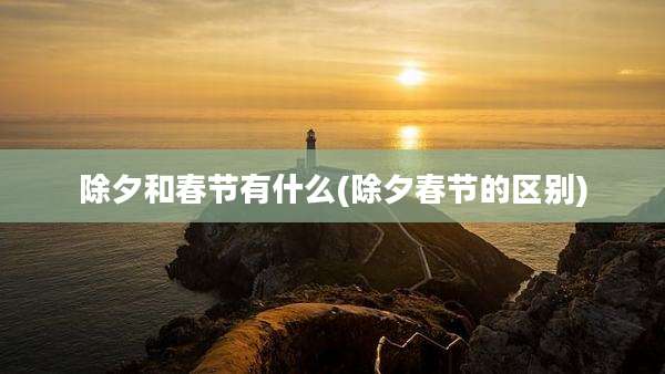 除夕和春节有什么(除夕春节的区别)