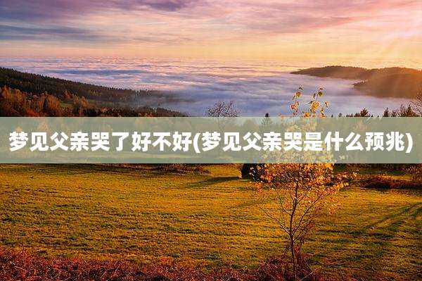 梦见父亲哭了好不好(梦见父亲哭是什么预兆)