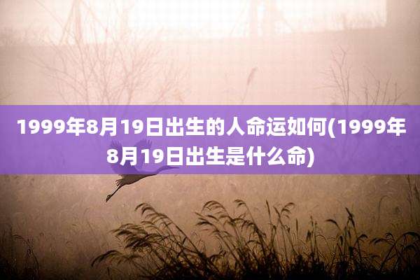1999年8月19日出生的人命运如何(1999年8月19日出生是什么命)