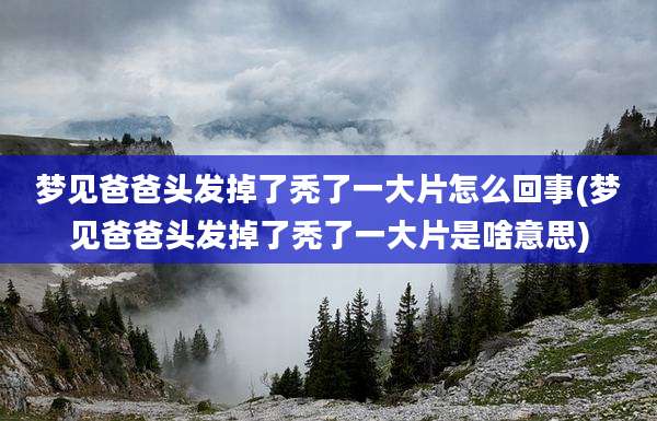 梦见爸爸头发掉了秃了一大片怎么回事(梦见爸爸头发掉了秃了一大片是啥意思)