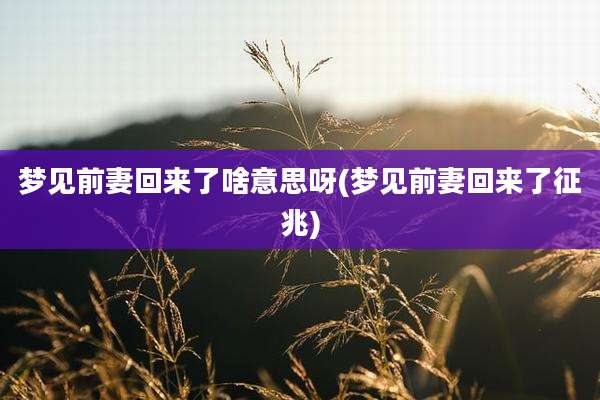 梦见前妻回来了啥意思呀(梦见前妻回来了征兆)
