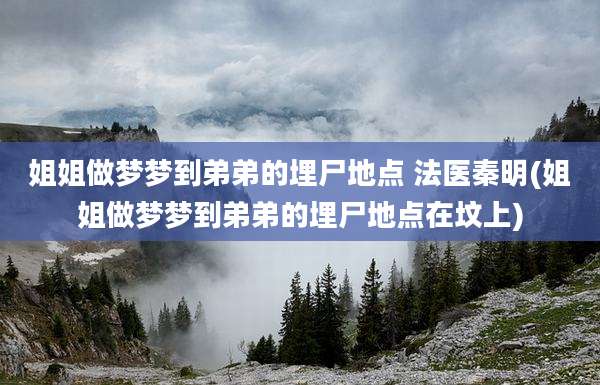 姐姐做梦梦到弟弟的埋尸地点 法医秦明(姐姐做梦梦到弟弟的埋尸地点在坟上)