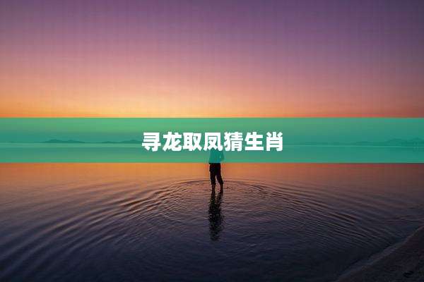 寻龙取凤猜生肖