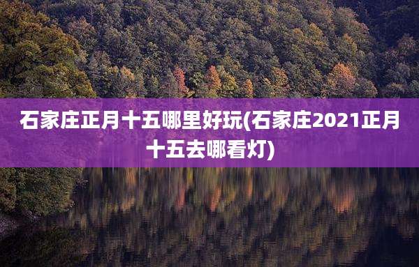 石家庄正月十五哪里好玩(石家庄2021正月十五去哪看灯)