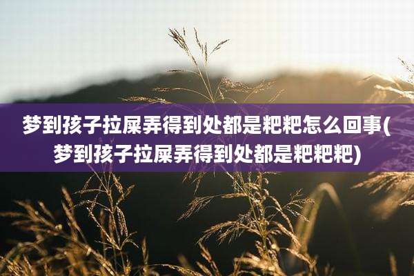 梦到孩子拉屎弄得到处都是粑粑怎么回事(梦到孩子拉屎弄得到处都是粑粑粑)