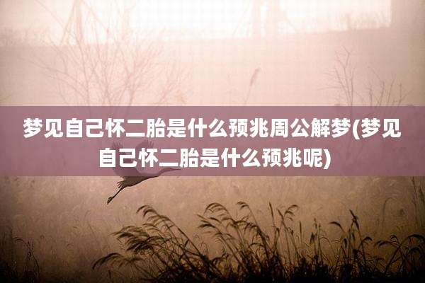 梦见自己怀二胎是什么预兆周公解梦(梦见自己怀二胎是什么预兆呢)