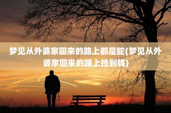 梦见从外婆家回来的路上都是蛇(梦见从外婆家回来的路上捡到钱)