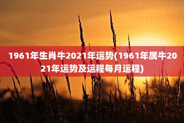 1961年生肖牛2021年运势(1961年属牛2021年运势及运程每月运程)