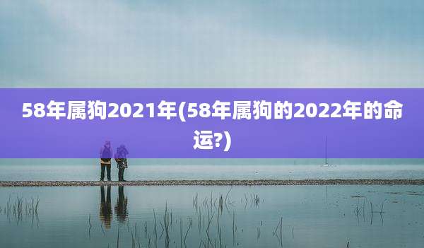 58年属狗2021年(58年属狗的2022年的命运?)