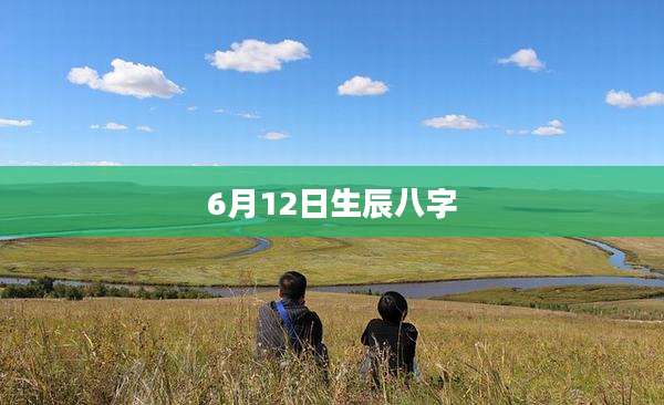 6月12日生辰八字
