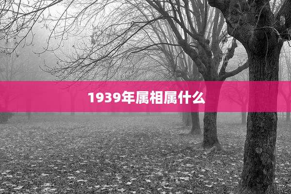1939年属相属什么