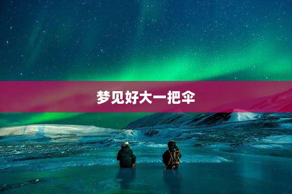 梦见好大一把伞